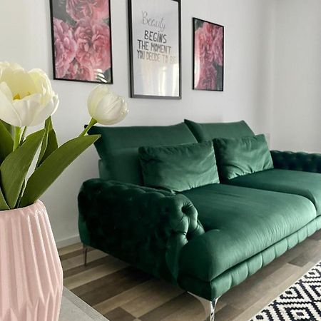 Velvet Studio Târgu-Mureş Eksteriør billede